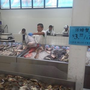 Meet your Posher, Phillip